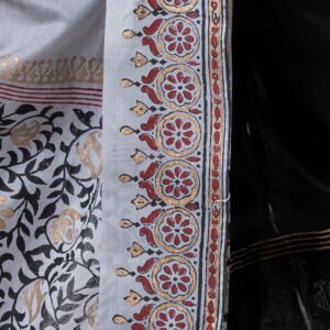 B 0123 DSC03753 copy